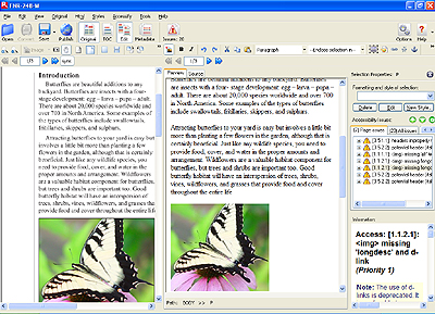 click for larger image of The RiverDocs Converter Enterprise Edition Editor